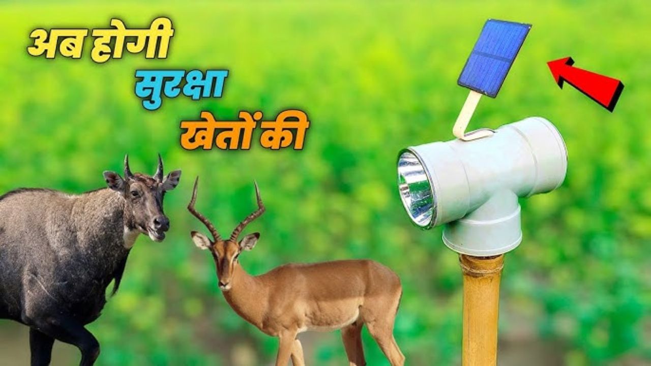 खेत में से दुम दबाकर भागेंगे जंगली जानवर, देसी जुगाड़ से पाएं 100% समाधान
